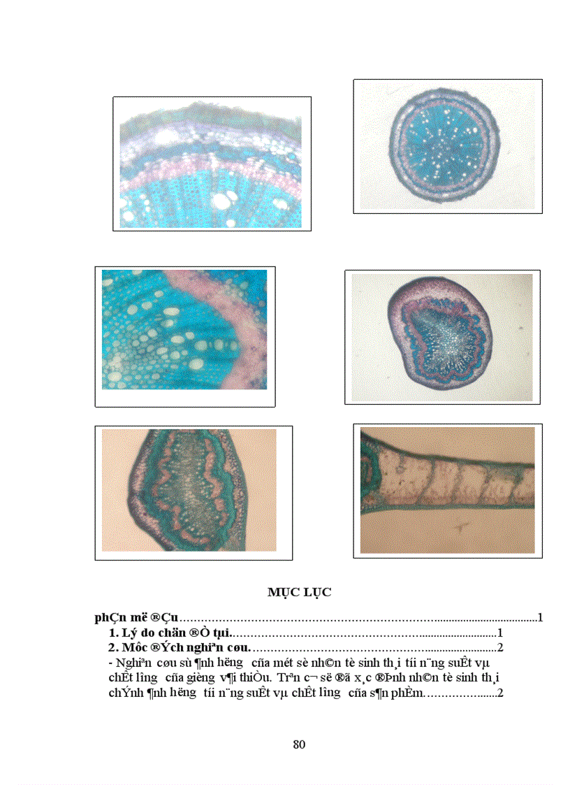 image for page Nghiên cứu ảnh hưởng của một số nhân tố sinh thái tới năng suất và chất lượng của cây vải thiều litchichinensis Sonn 1