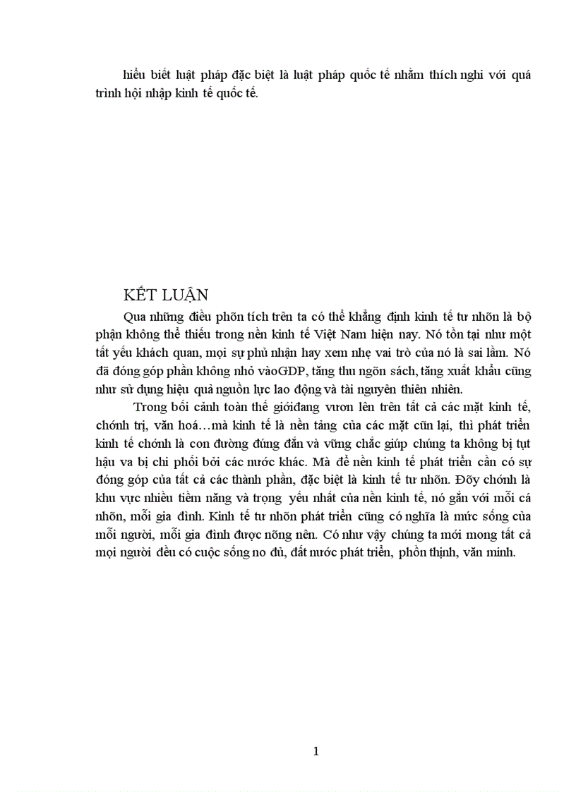 image for page Kinh tế tư nhân và vai trò của nó trong nền kinh tế Việt Nam 1