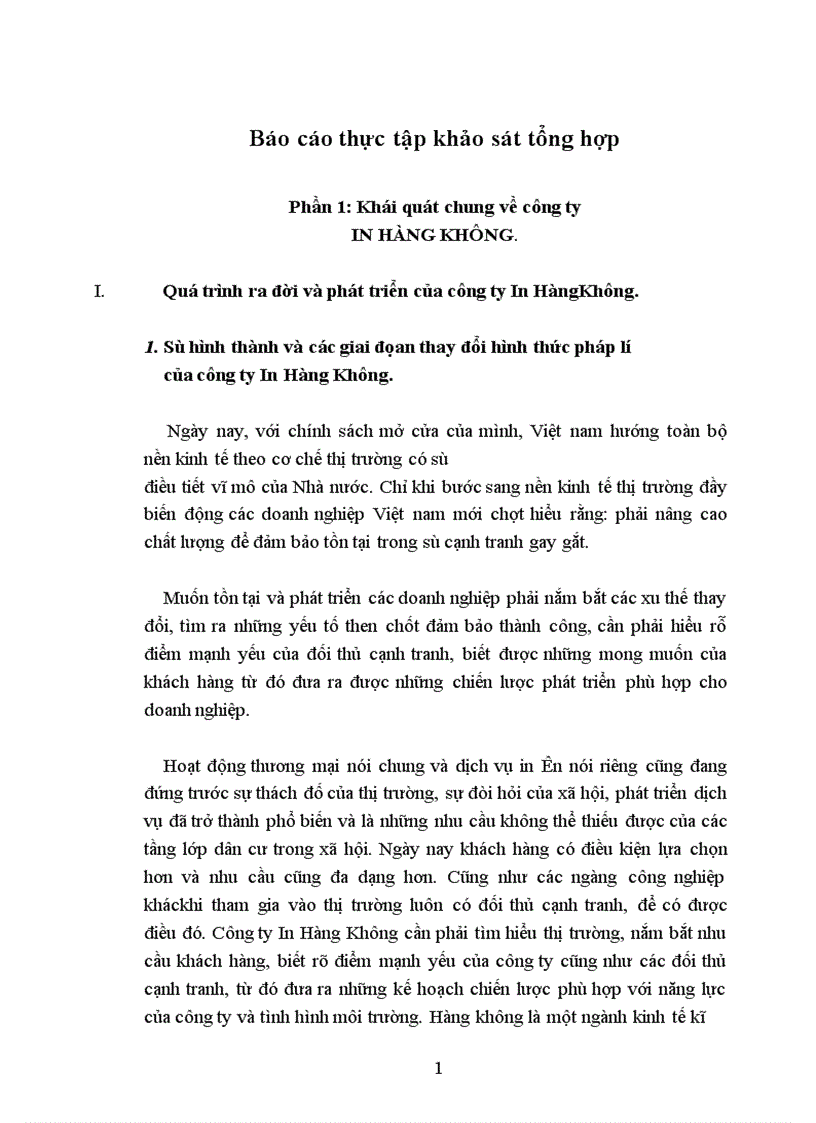 Báo cáo tổng hợp về công ty In Hàng Không