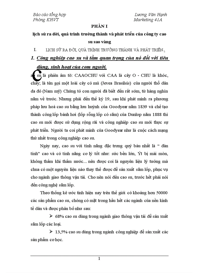 image for page Báo cáo tổng hợp về công ty cao su sao vàng