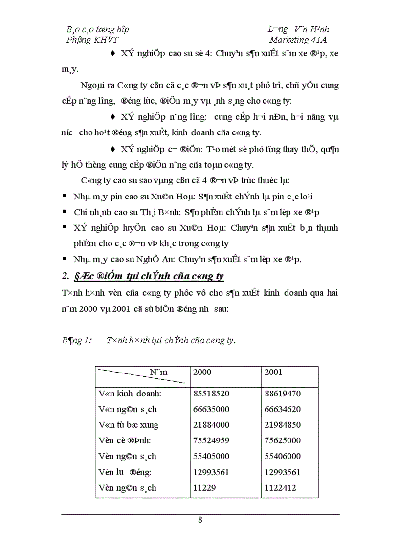 image for page Báo cáo tổng hợp về công ty cao su sao vàng