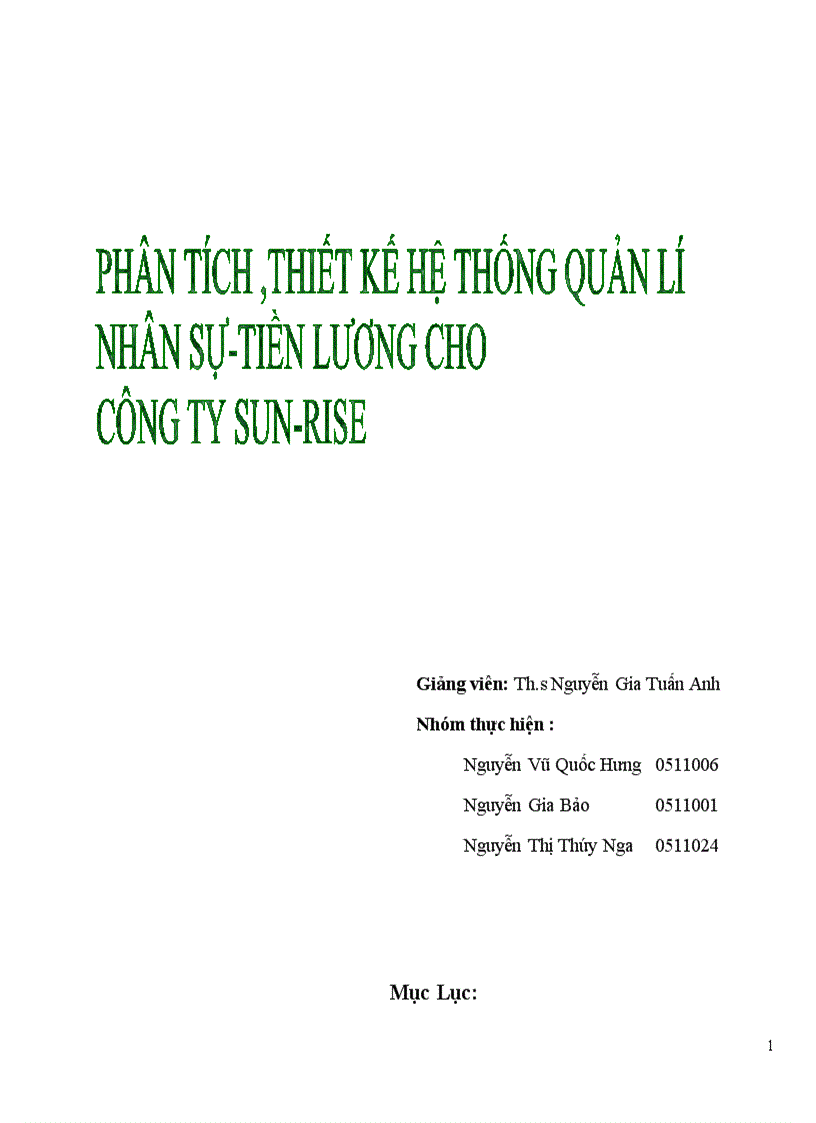 image for page Phân tích thiết kế hệ thống quản lý nhân sự tiền lương cho công ty sun rice 1