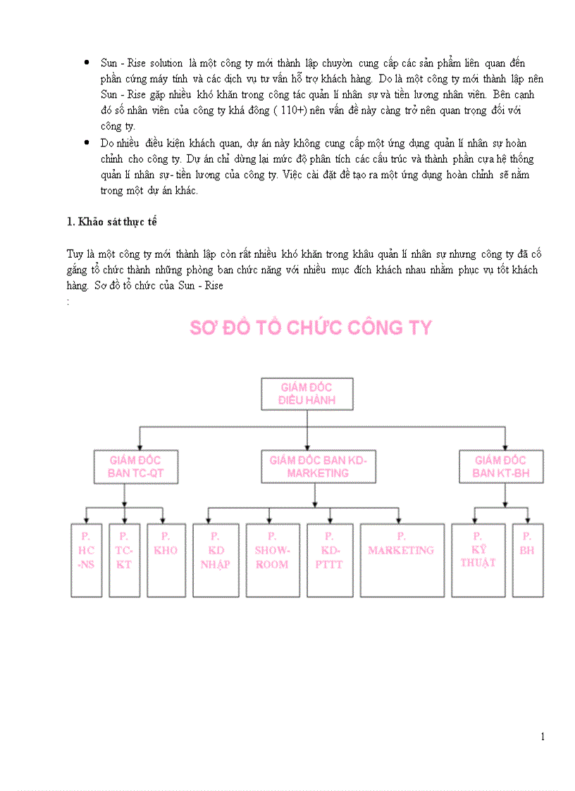 image for page Phân tích thiết kế hệ thống quản lý nhân sự tiền lương cho công ty sun rice 1