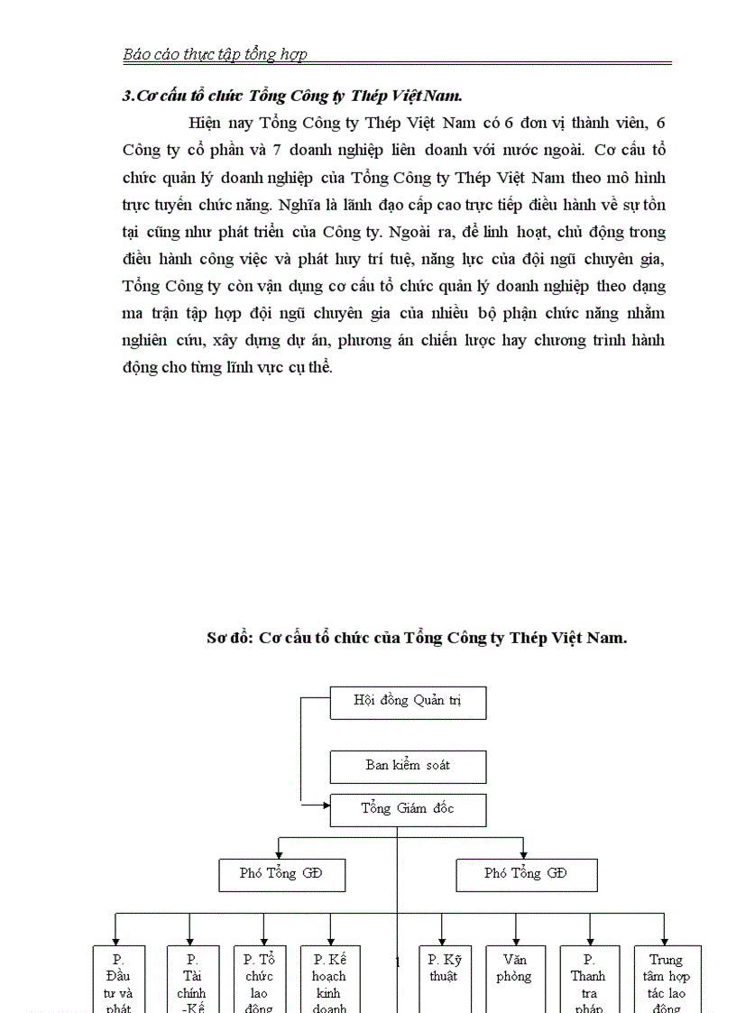 image for page Thực trạng sản xuất kinh doanh của Tổng công ty thép Việt Nam 1