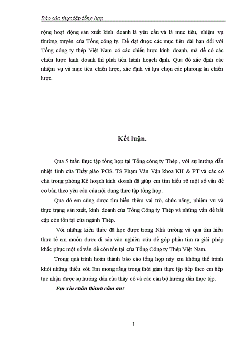 image for page Thực trạng sản xuất kinh doanh của Tổng công ty thép Việt Nam 1