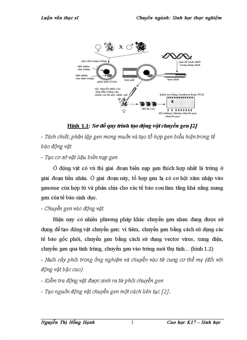 image for page Thử nghiệm chuyển gen GFP trên gà Gallus Gallus Domesticus sử dụng vector pT2 BH CVpf SB11 bằng phương pháp chuyển gen qua tinh trùng và vi tiêm vào phôi gà 0 giờ ấp 1