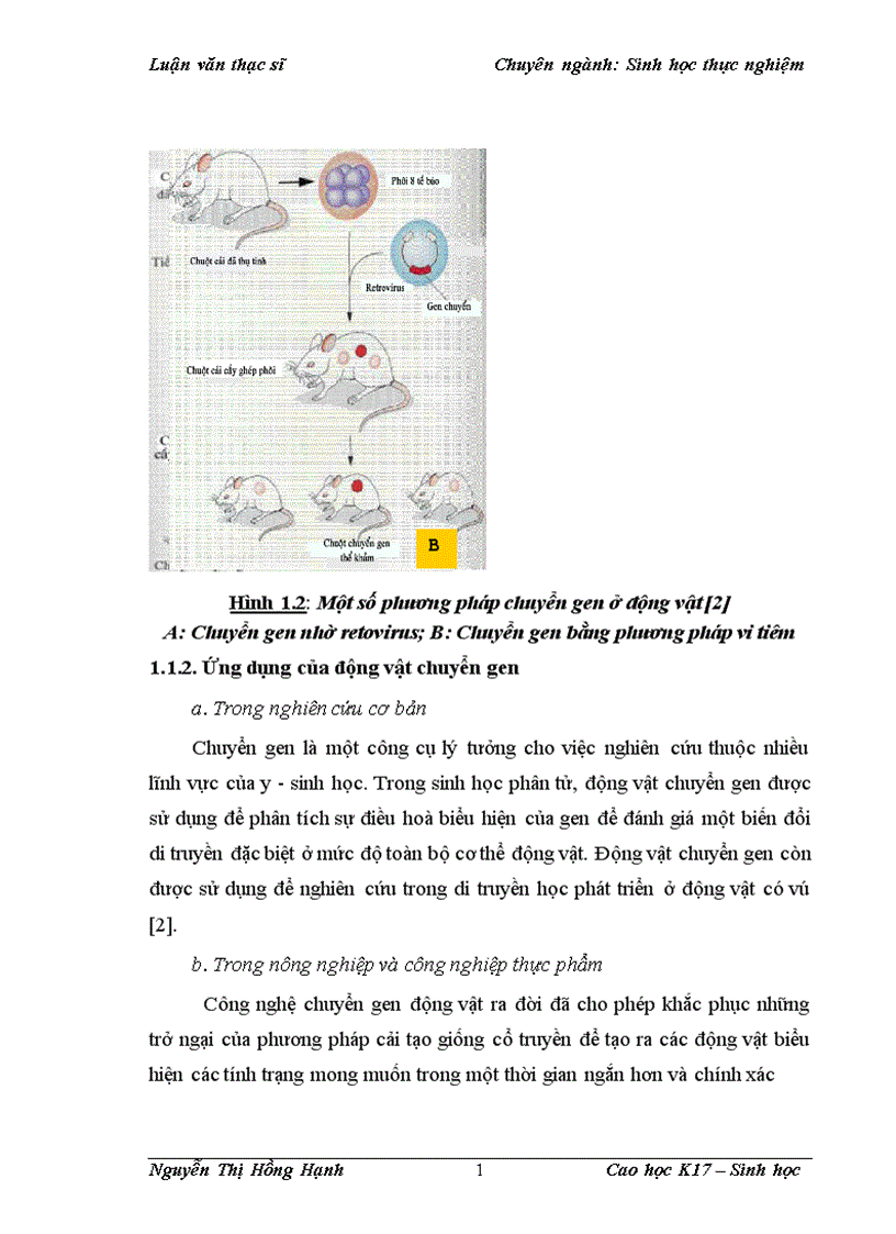 image for page Thử nghiệm chuyển gen GFP trên gà Gallus Gallus Domesticus sử dụng vector pT2 BH CVpf SB11 bằng phương pháp chuyển gen qua tinh trùng và vi tiêm vào phôi gà 0 giờ ấp 1