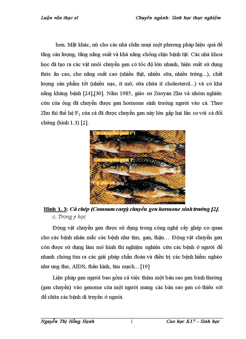 image for page Thử nghiệm chuyển gen GFP trên gà Gallus Gallus Domesticus sử dụng vector pT2 BH CVpf SB11 bằng phương pháp chuyển gen qua tinh trùng và vi tiêm vào phôi gà 0 giờ ấp 1