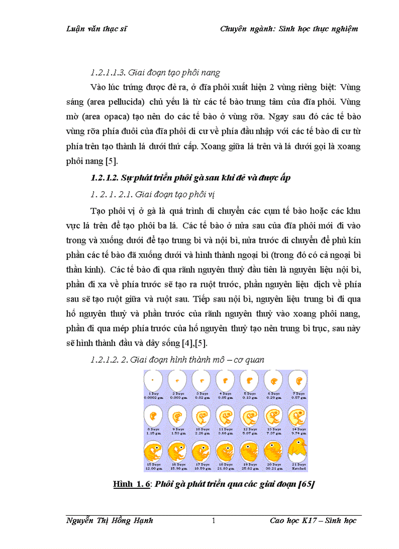 image for page Thử nghiệm chuyển gen GFP trên gà Gallus Gallus Domesticus sử dụng vector pT2 BH CVpf SB11 bằng phương pháp chuyển gen qua tinh trùng và vi tiêm vào phôi gà 0 giờ ấp 1