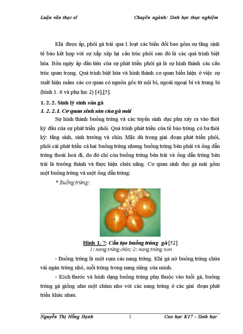 image for page Thử nghiệm chuyển gen GFP trên gà Gallus Gallus Domesticus sử dụng vector pT2 BH CVpf SB11 bằng phương pháp chuyển gen qua tinh trùng và vi tiêm vào phôi gà 0 giờ ấp 1