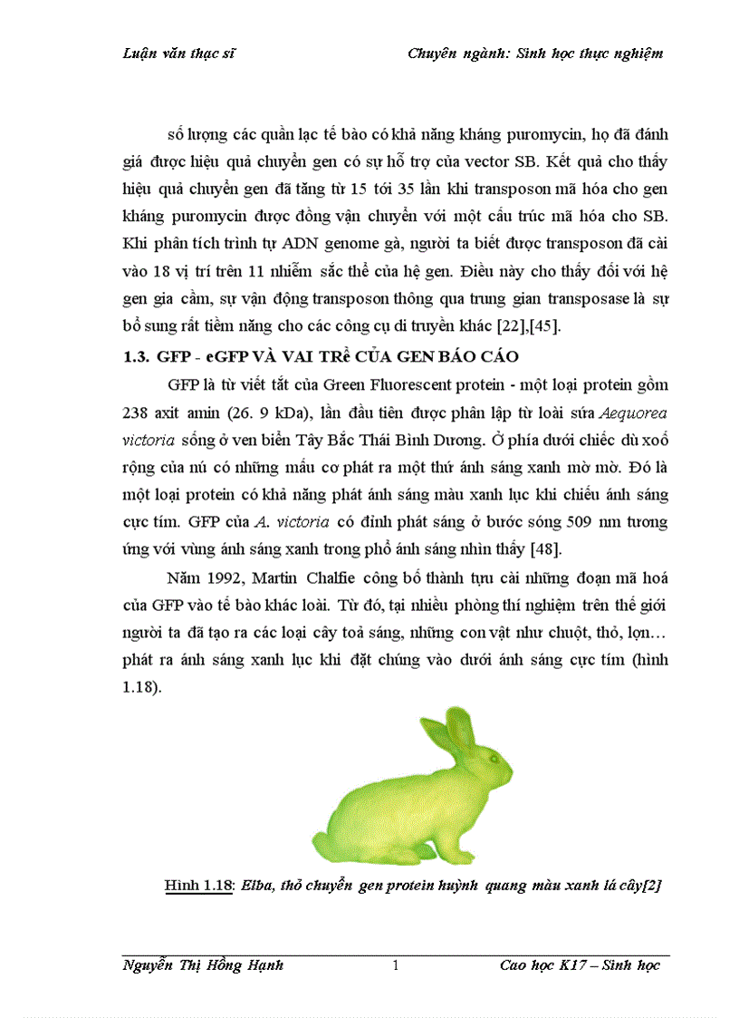 image for page Thử nghiệm chuyển gen GFP trên gà Gallus Gallus Domesticus sử dụng vector pT2 BH CVpf SB11 bằng phương pháp chuyển gen qua tinh trùng và vi tiêm vào phôi gà 0 giờ ấp 1
