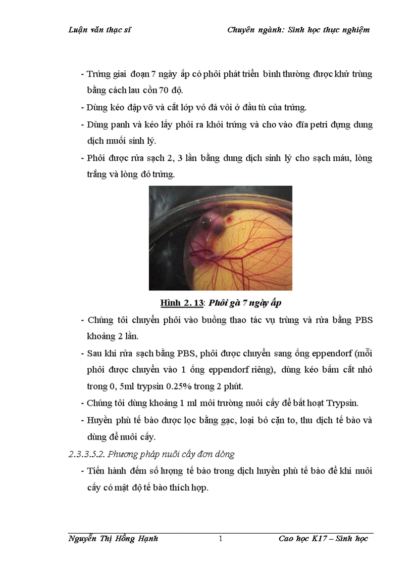 image for page Thử nghiệm chuyển gen GFP trên gà Gallus Gallus Domesticus sử dụng vector pT2 BH CVpf SB11 bằng phương pháp chuyển gen qua tinh trùng và vi tiêm vào phôi gà 0 giờ ấp 1