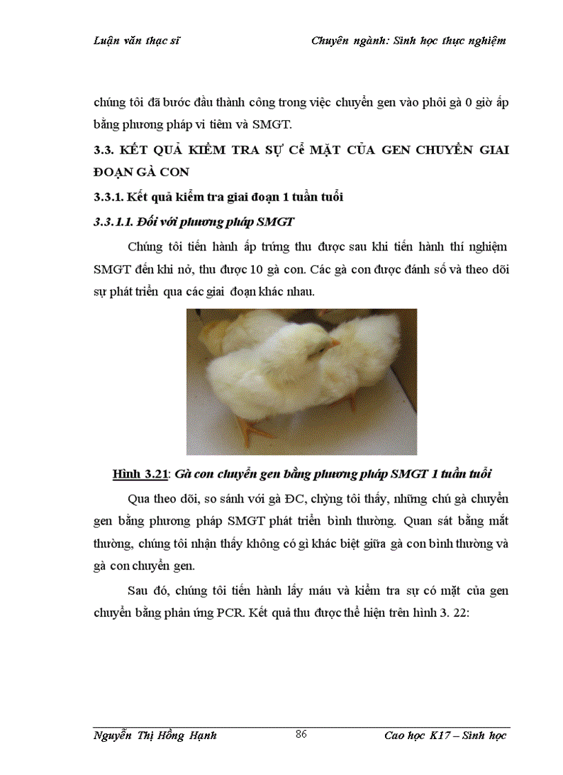 image for page Thử nghiệm chuyển gen GFP trên gà Gallus Gallus Domesticus sử dụng vector pT2 BH CVpf SB11 bằng phương pháp chuyển gen qua tinh trùng và vi tiêm vào phôi gà 0 giờ ấp 1