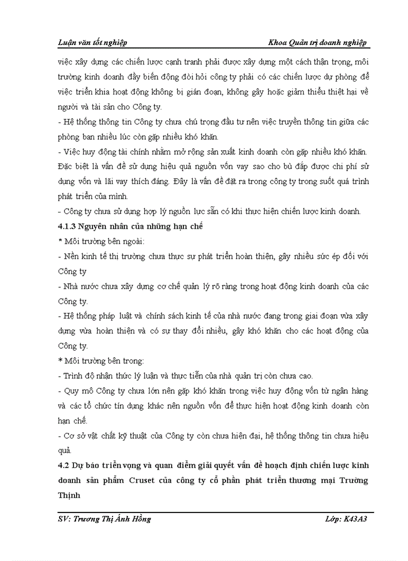 image for page Hoạch định chiến lược kinh doanh của Công ty cổ phần phát triển thương mại Trường Thịnh 1