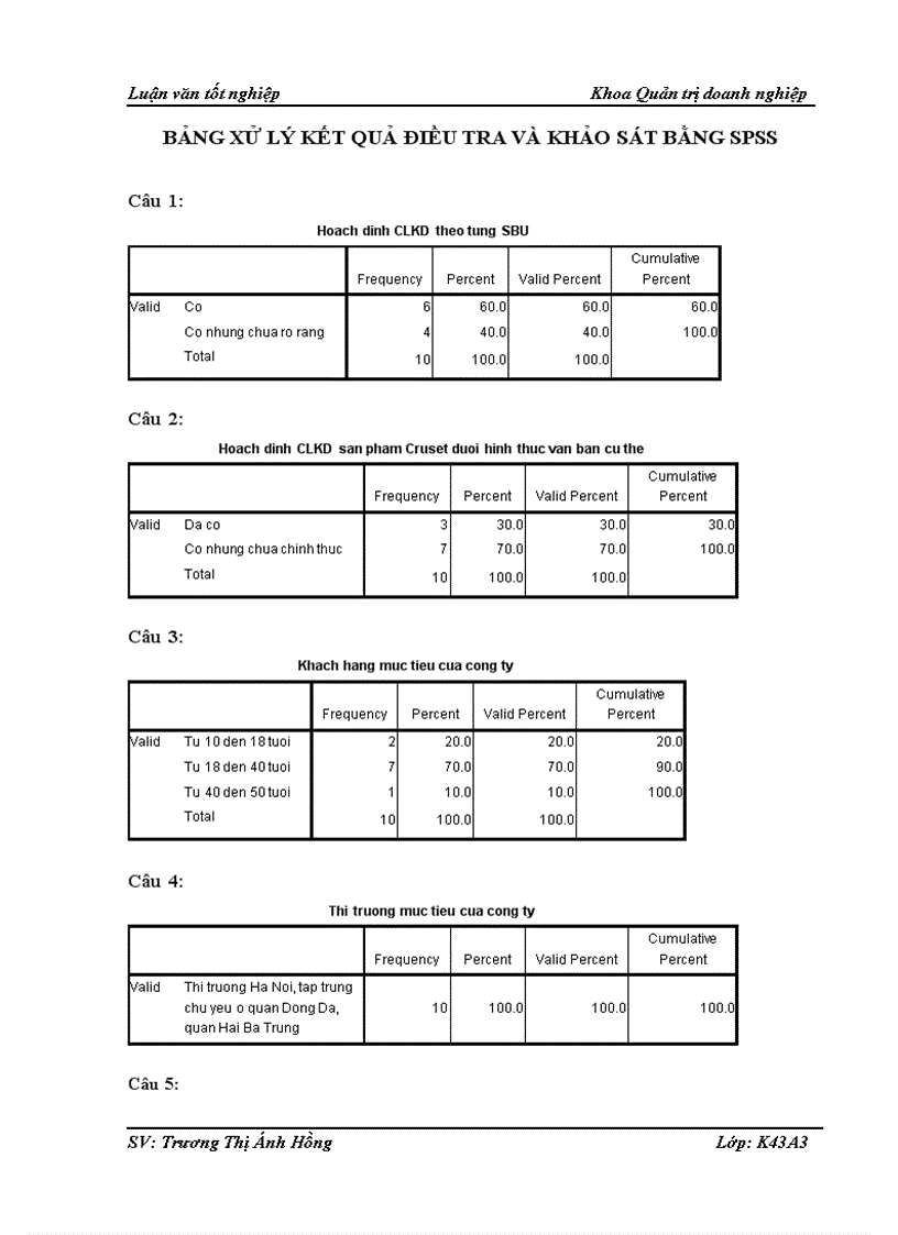 image for page Hoạch định chiến lược kinh doanh của Công ty cổ phần phát triển thương mại Trường Thịnh 1