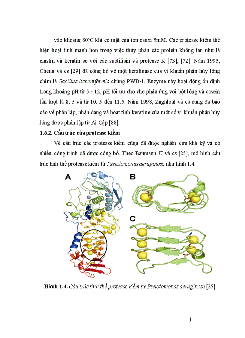 image for page Tuyển chọn chủng Bacillus từ rừng ngập mặn sinh mạnh protease kiềm và bước đầu định hướng ứng dụng 1