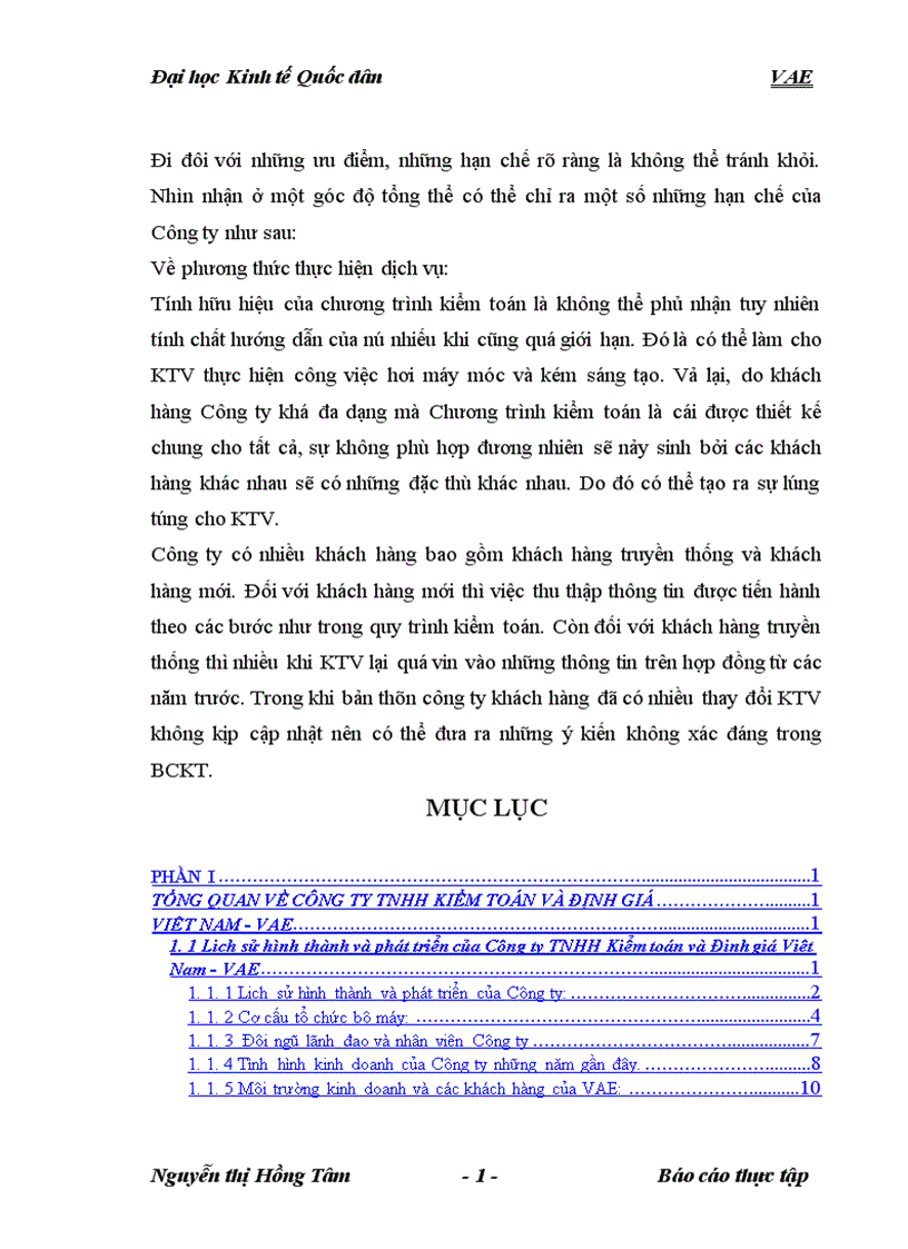 image for page báo cáo tổng hợp tại Công ty TNHH Kiểm toán và Định giá Việt Nam VAE