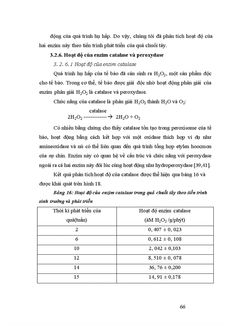image for page Nghiên cứu động thái một số chỉ tiêu sinh lý hoá sinh theo tiến trình sinh trưởng phát triển của quả chuối tây tại huyện Thanh Trì Hà Nội 1