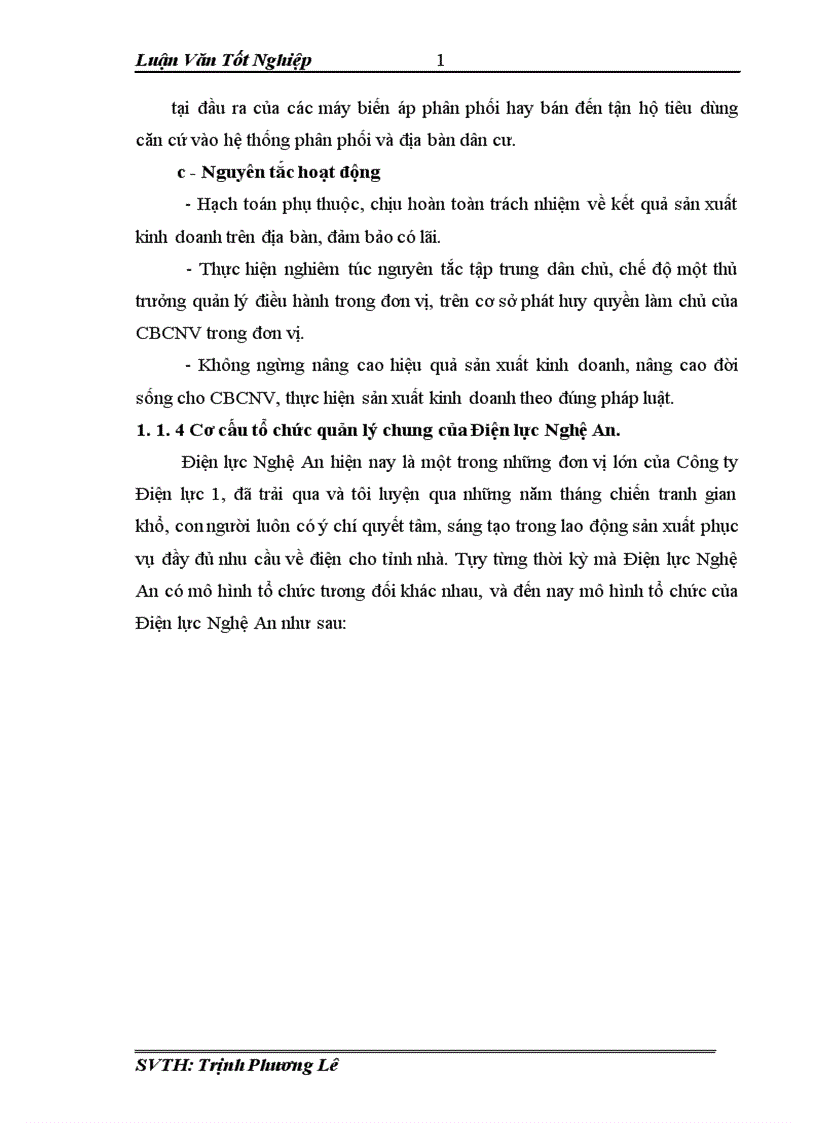 image for page Những giải pháp nâng cao hiệu quả đầu tư phát triển của Điện lực Nghệ An