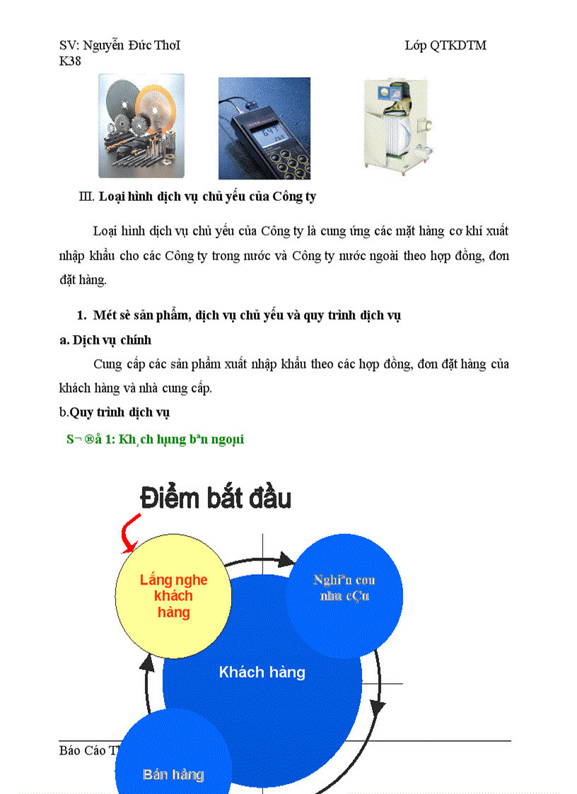 Phương hướng và giải pháp phát triển công ty TNHH Thương mại tổng hợp Nam Việt