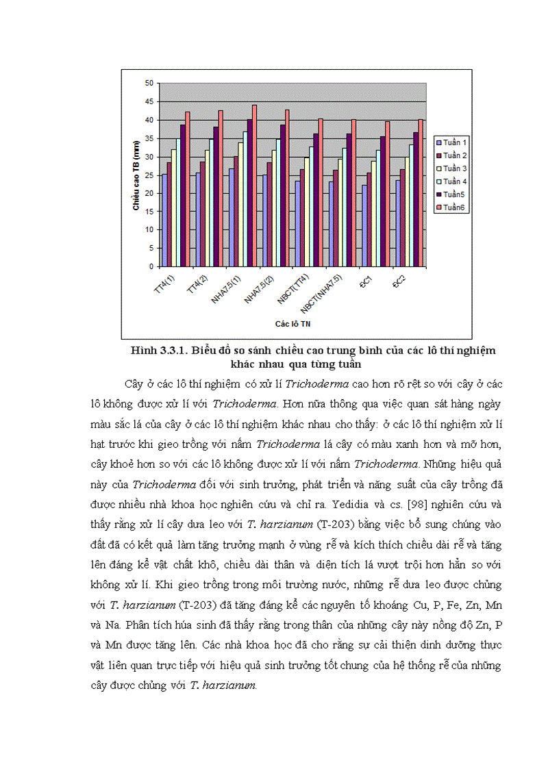 image for page Nghiên cứu khả năng đối kháng và tiềm năng ứng dụng của một số chủng Trichoderma phân lập từ RNM trên một số nấm bệnh thực vật 1