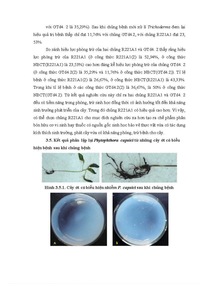 image for page Nghiên cứu khả năng đối kháng và tiềm năng ứng dụng của một số chủng Trichoderma phân lập từ RNM trên một số nấm bệnh thực vật 1