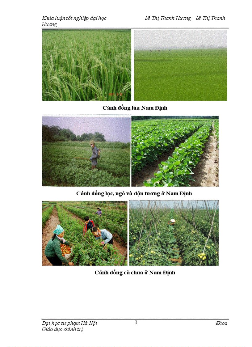 image for page Đảng bộ tỉnh Nam Định lãnh đạo phát triển nông nghiệp giai đoạn 1997 2008 1