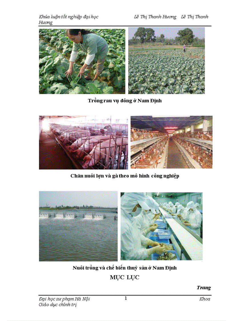 image for page Đảng bộ tỉnh Nam Định lãnh đạo phát triển nông nghiệp giai đoạn 1997 2008 1