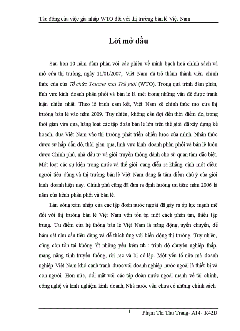Tác động của việc gia nhập WTO đối với thị trường bán lẻ Việt Nam
