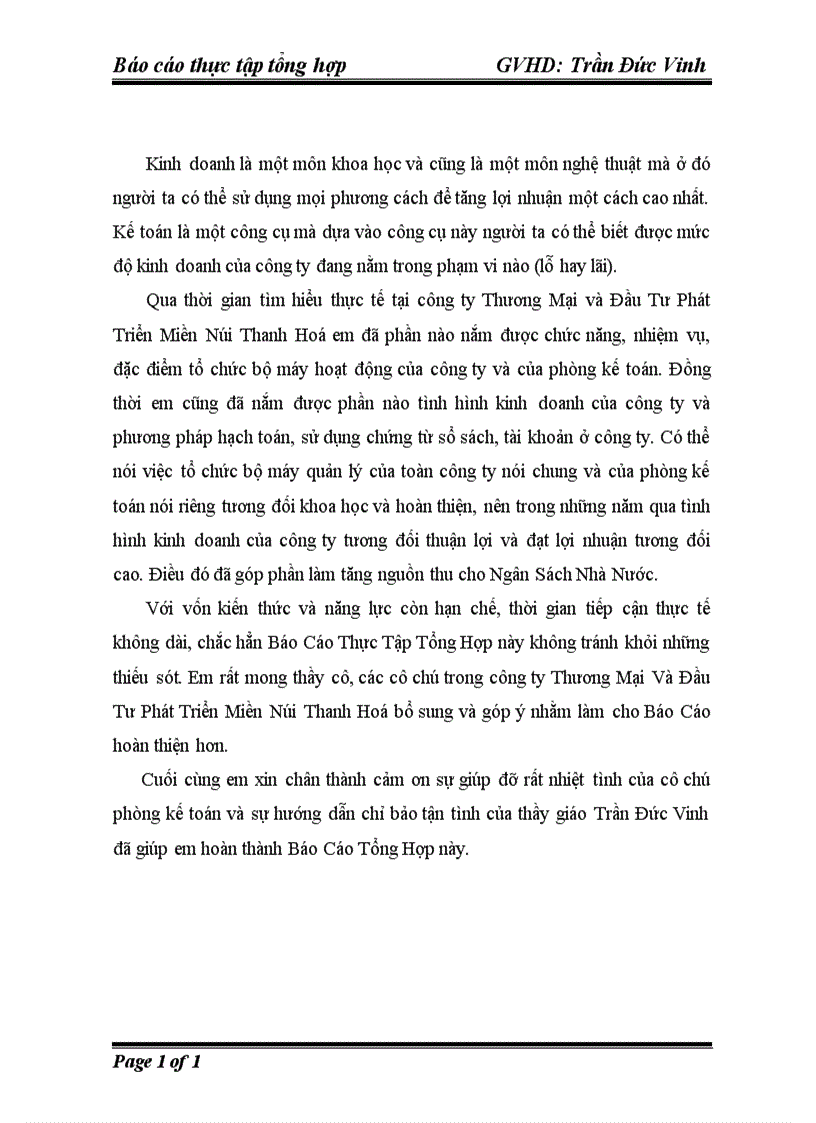 image for page Báo cáo tổng hợp về Công ty Thương Mại và Đầu Tư Phát Triển Miền Núi