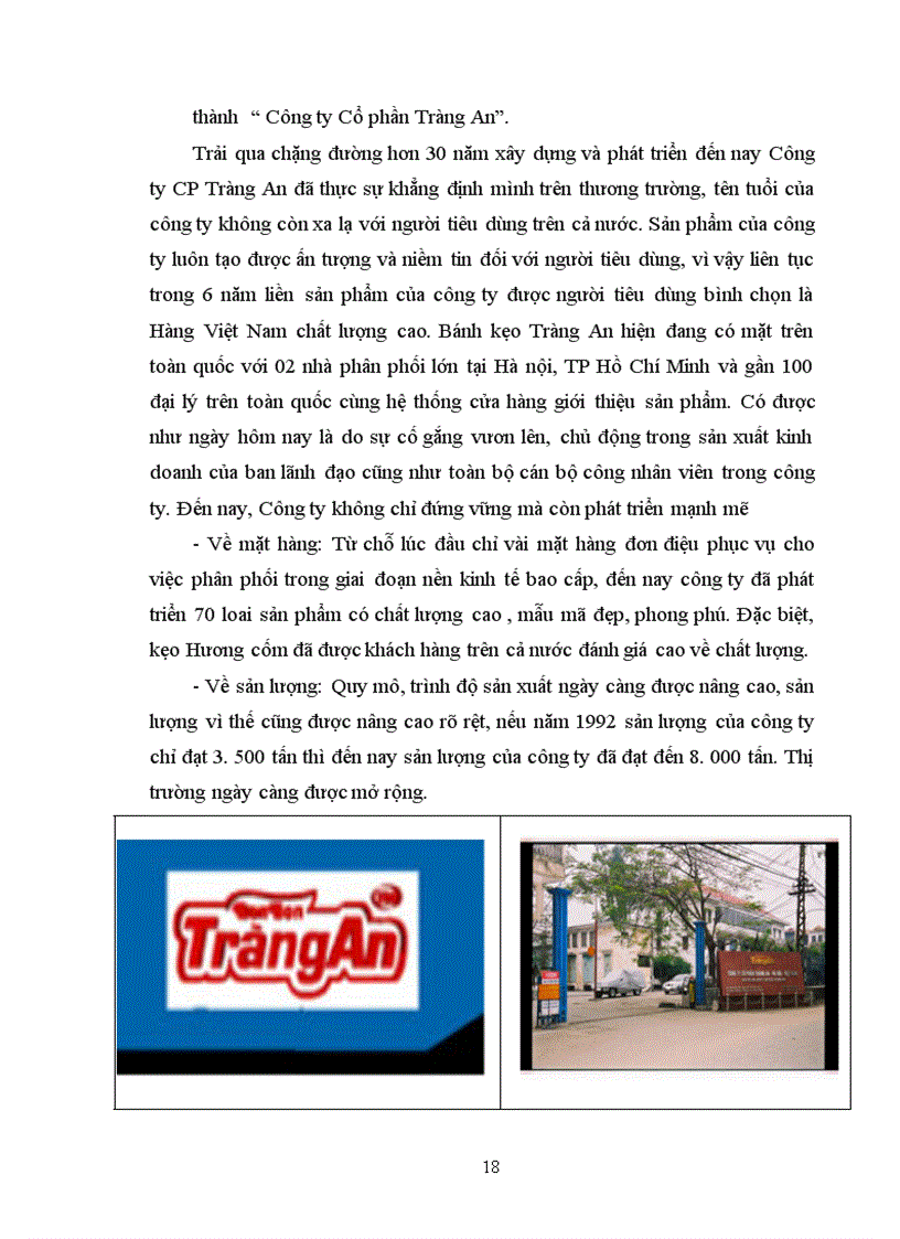image for page Thực trạng và giải pháp cho hệ thống marketing của công ty Cổ phần Tràng An