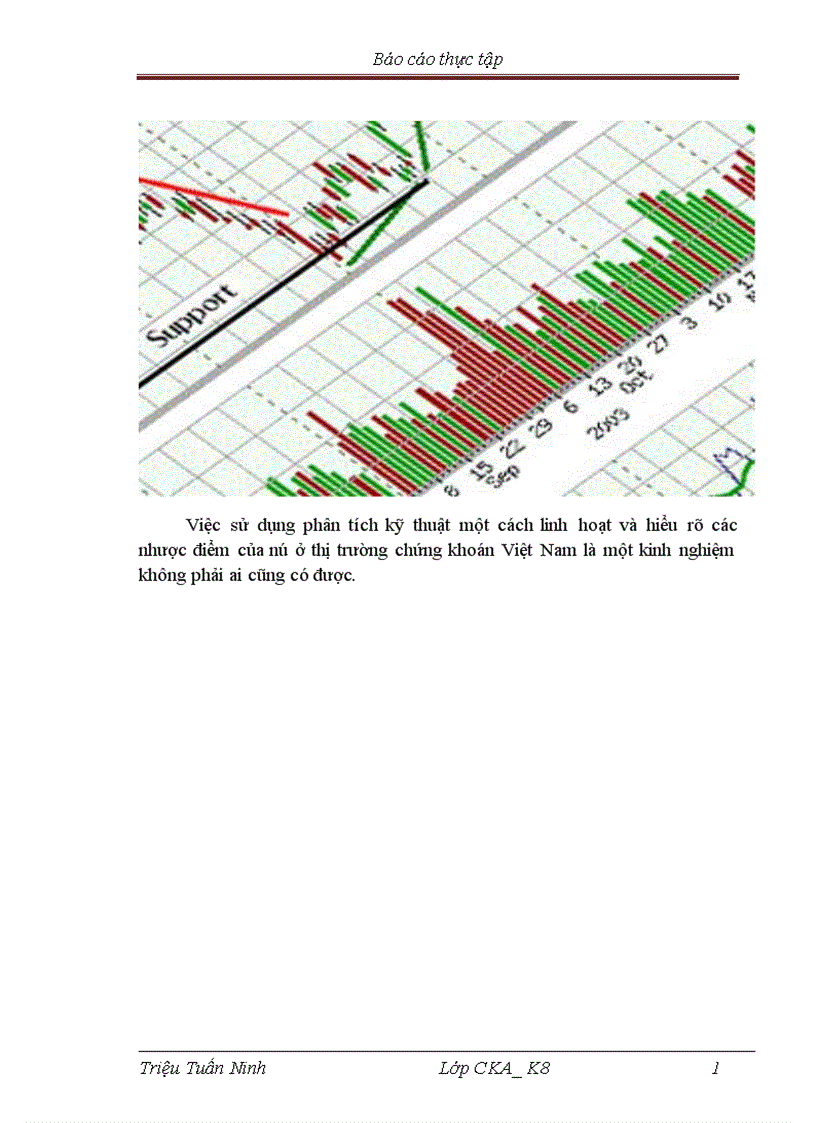 image for page Vận dụng linh hoạt phương pháp PTKT trong phân tích và đầu tư chứng khoán tại Việt Nam 1
