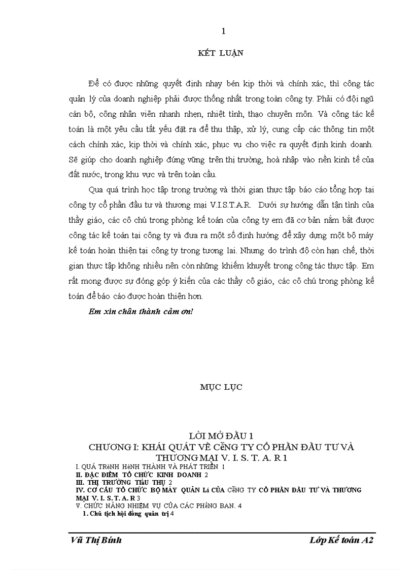 image for page Tổ chức công tác kế toán tại công ty cổ phần đầu tư và thương mại V I S T A R 1