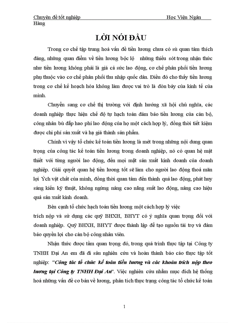 image for page Công tác tổ chức kế toán tiền lương và các khoản trích nộp theo lương tại Công ty TNHH Đại An 1