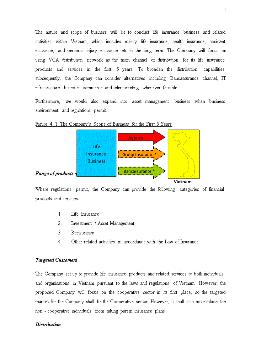 image for page Strategy choices for ntuc income to enter Vietnam life insurance market