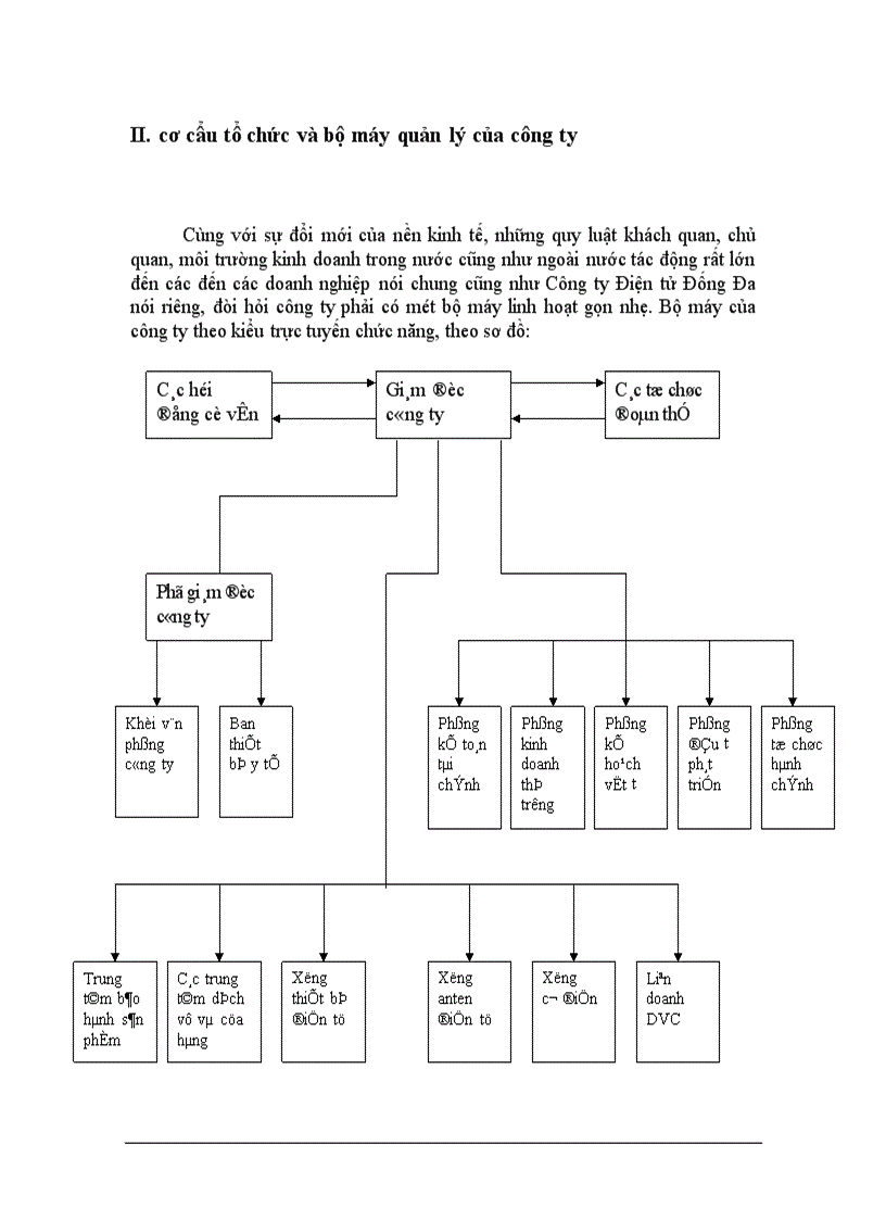 cơ cẩu tổ chức và bộ máy quản lý của công ty