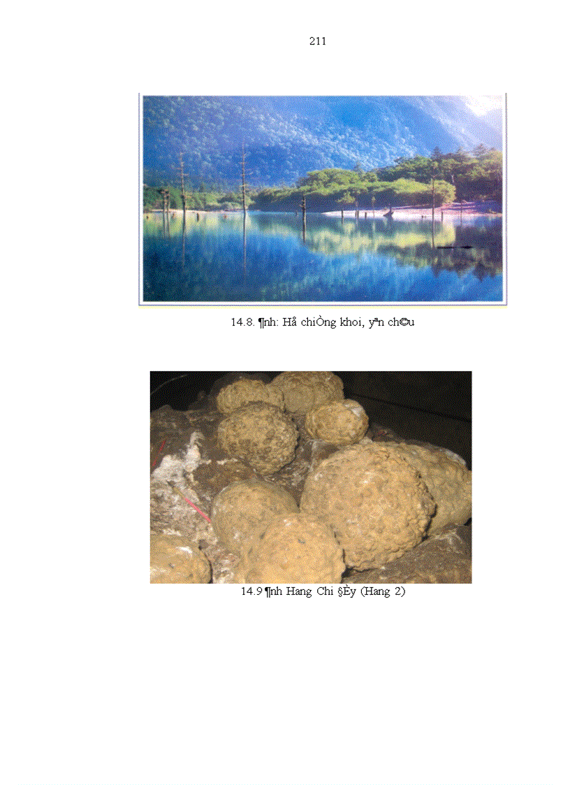 image for page Nghiên cứu tổ chức lãnh thổ du lịch tỉnh Sơn La