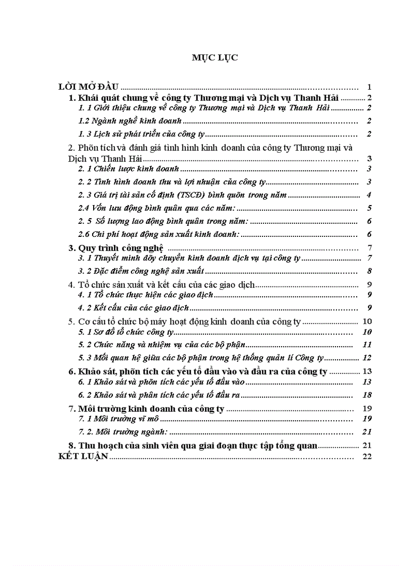 image for page Báo cáo thực tập tại công ty Thương mại và Dịch vụ Thanh Hải