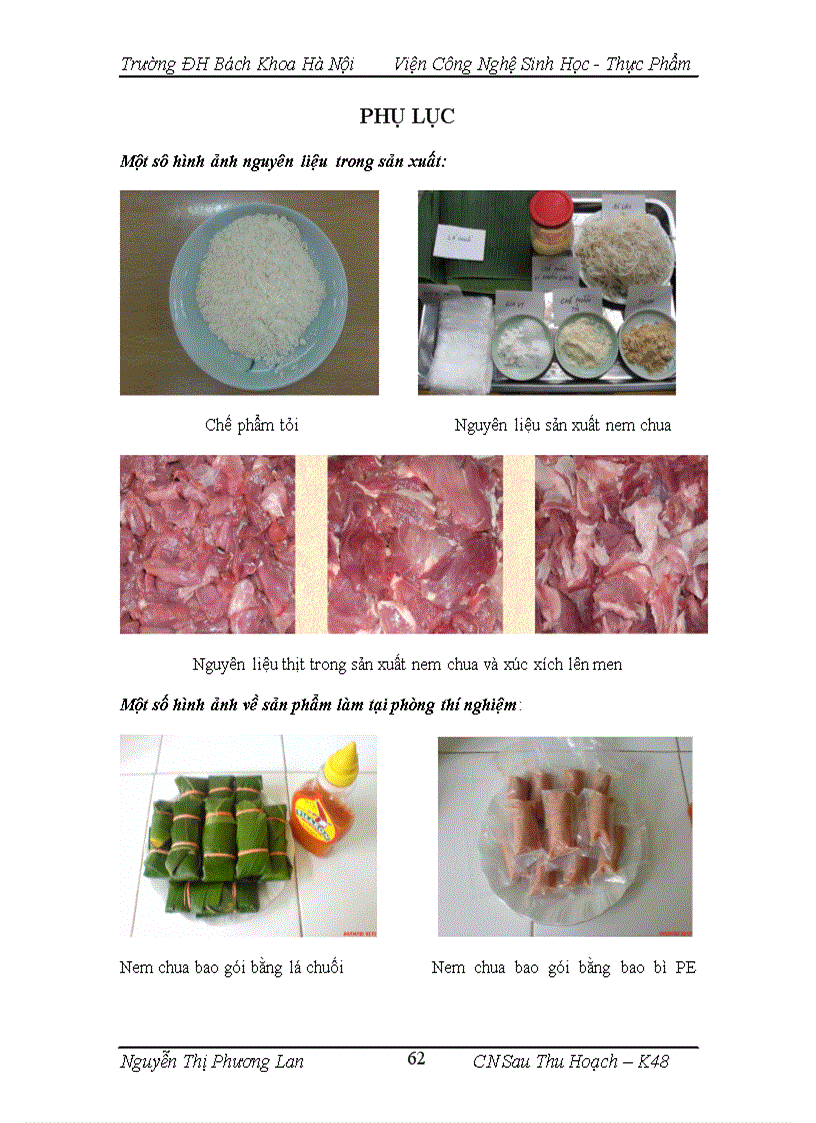 image for page Nghiên cứu ứng dụng chế phẩm vi khuẩn lactic có hoạt tính sinh học và chế phẩm tỏi trong sản xuất thịt lên men nem chua xúc xích lên men 1