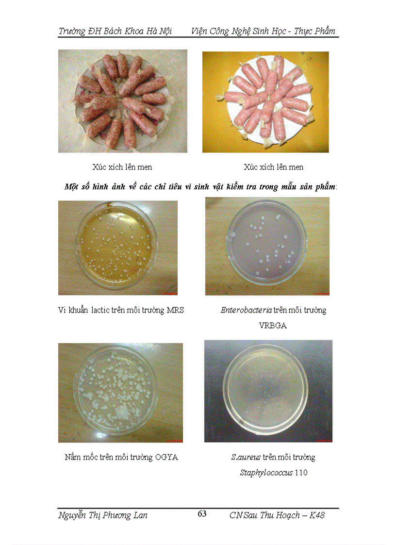 image for page Nghiên cứu ứng dụng chế phẩm vi khuẩn lactic có hoạt tính sinh học và chế phẩm tỏi trong sản xuất thịt lên men nem chua xúc xích lên men 1