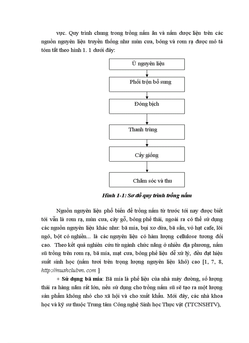 image for page Nghiên cứu hoàn thiện quy trình sử dụng bã sắn trước và sau lên men thu enzyme để nuôi trồng nấm ăn và nấm dược liệu 1