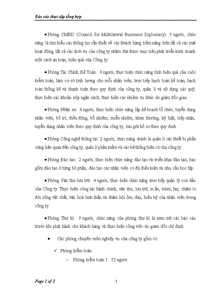 image for page Báo cáo tổng hợp về Công ty TNHH Deloitte Việt Nam