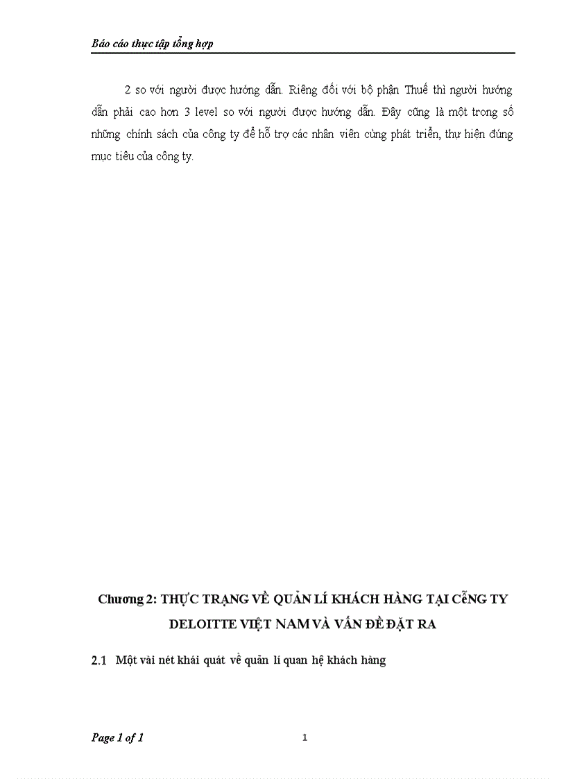 image for page Báo cáo tổng hợp về Công ty TNHH Deloitte Việt Nam