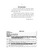 Những vấn đề lý luận và thực tiễn về cổ phần hoá và sau cổ phần hoá các doanh nghiệp nhà nước ở Việt Nam 1