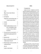 Nội dung cơ bản của pháp luật Việt Nam và pháp luật Hoa Kỳ về bảo hộ nhãn hiệu hàng hóa 1