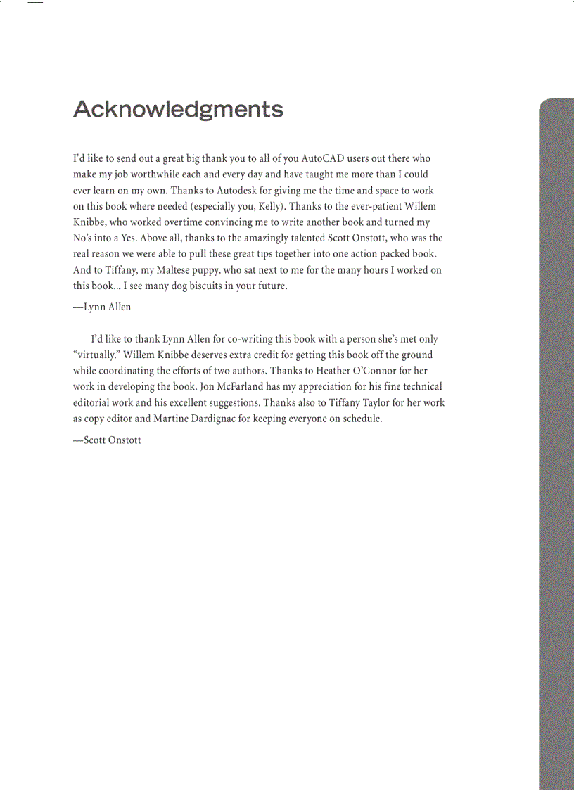 image for page AutoCAD Professional Tips and Techniques