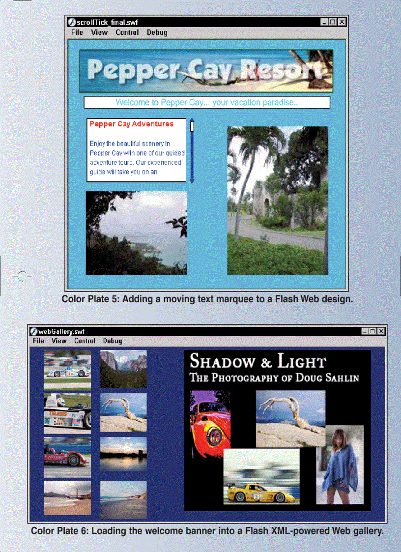 image for page Building Flash Web Sites For Dummies