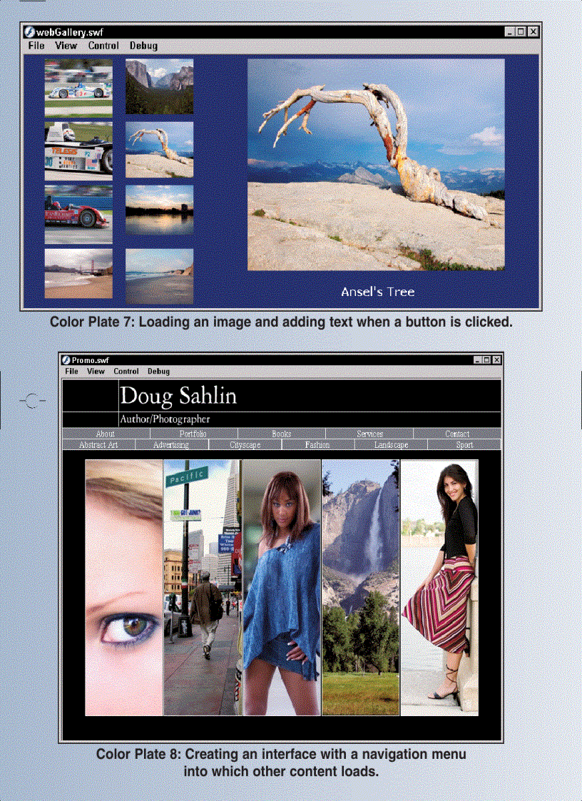 image for page Building Flash Web Sites For Dummies