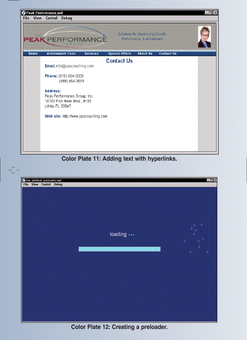 image for page Building Flash Web Sites For Dummies