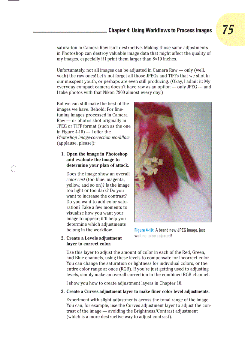 image for page Camera Raw with Photoshop For Dummies